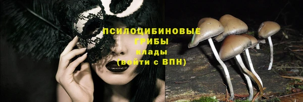 винт Лабытнанги