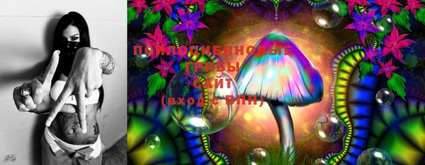 винт Лабытнанги