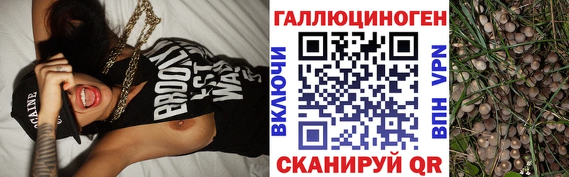 Купить  Отрадное  Галлюциногенные грибы мицелий 